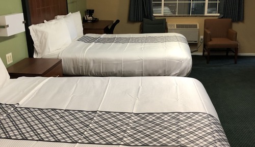 Habitación estándar, varias camas (No Pets Allowed)