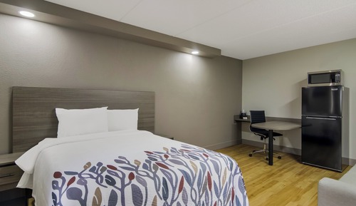 Habitación superior, 1 cama doble, no fumadores (Hypoallergenic)