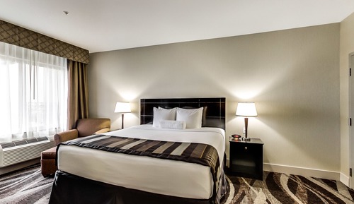Suite Premium, 1 habitación, no fumadores