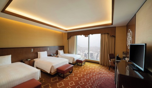 Habitación Deluxe, varias camas (View)