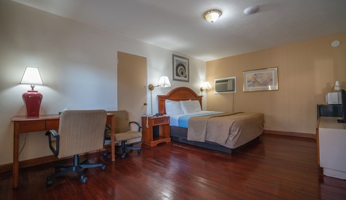 Habitación estándar, 1 cama de matrimonio grande