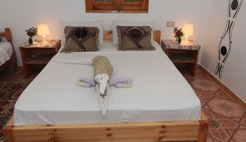 Habitación individual Deluxe, vistas al jardín