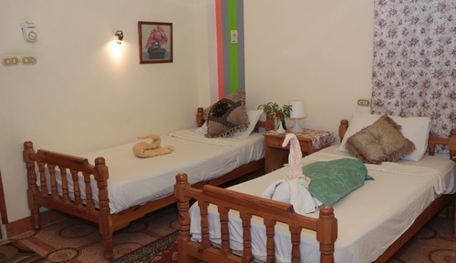 Habitación Deluxe con 1 cama doble o 2 individuales, vistas al jardín