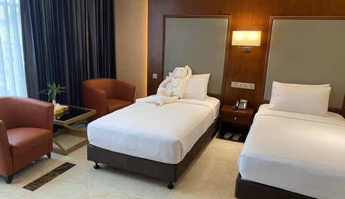 Habitación individual Deluxe, 1 cama individual