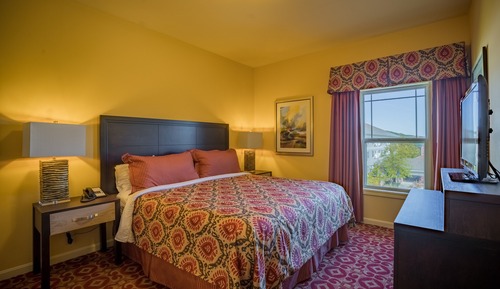 Suite Deluxe, 1 habitación