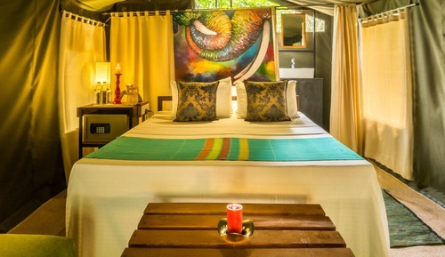 Glamping Suite bordering Yala with a Guided Night Walk