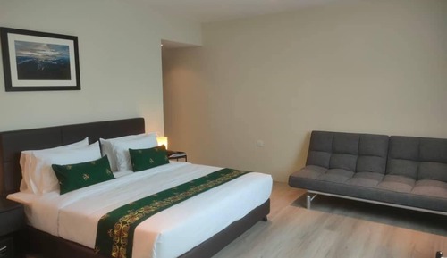 Habitación Premium, 1 cama de matrimonio grande con sofá cama