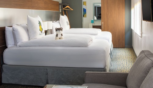 Suite, varias camas (Z)