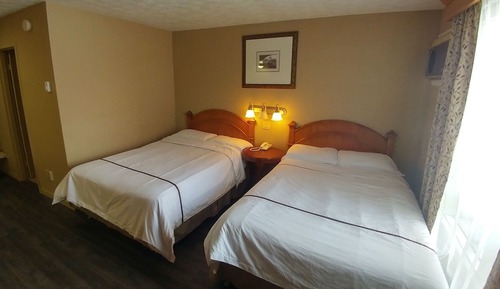 Habitación estándar, 2 camas dobles