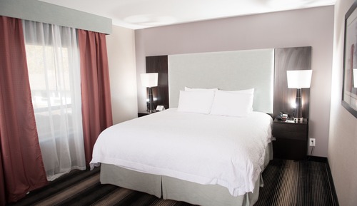 Suite ejecutiva, 1 cama de matrimonio grande