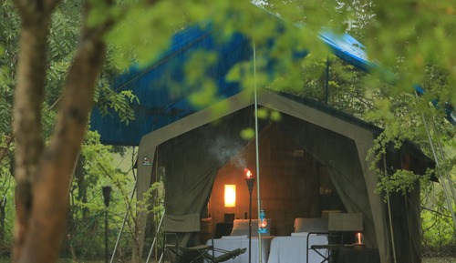 Family Glamping bordering Yala with a Guided Bush Walk