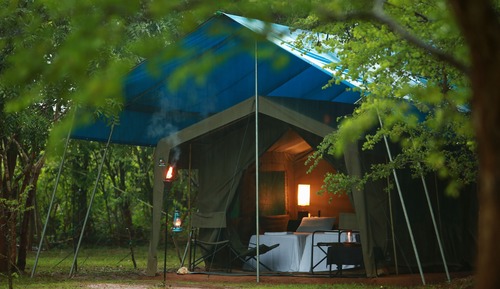 Tent with a night walk - on Half Board