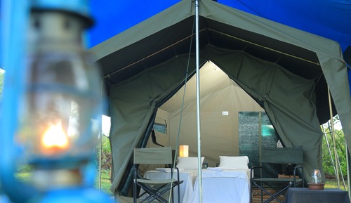 Family Tent with a Night Walk - BB