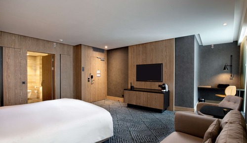 Habitación ejecutiva, 1 cama de matrimonio grande
