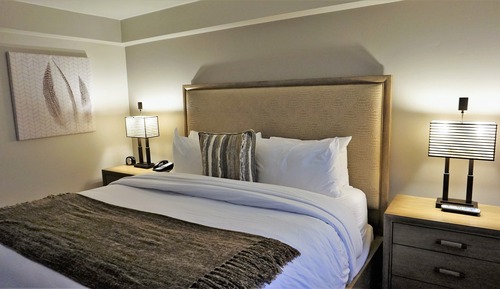 Suite Deluxe, 1 habitación