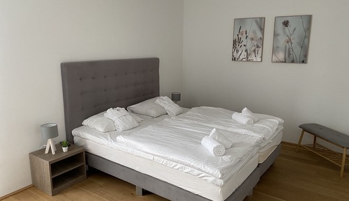 Apartamento Deluxe, 3 habitaciones (BV4.1 / Excl. 215 EUR cleaning fee)