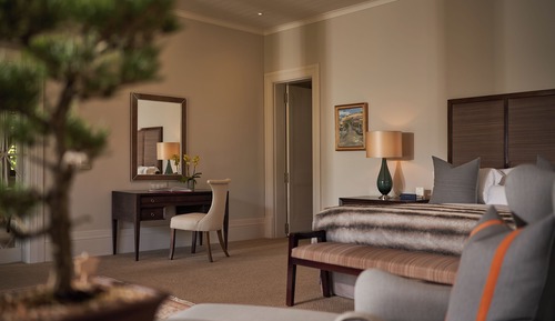 Suite estudio Premium