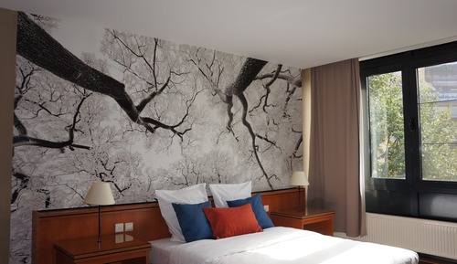 Habitación doble, 1 cama doble