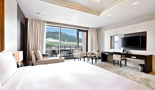 Suite junior (Plaza View)