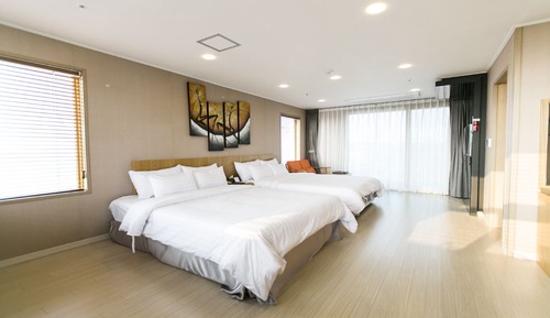 Habitación Deluxe con 2 camas individuales