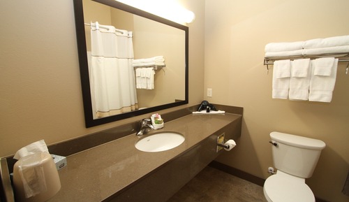 Habitación estándar, 1 cama de matrimonio grande, frigorífico y microondas (Pet Friendly)