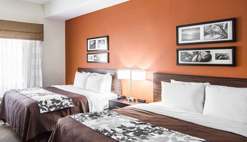 Habitación estándar, 2 camas de matrimonio
