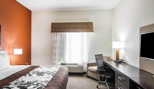 Habitación estándar, 1 cama de matrimonio grande