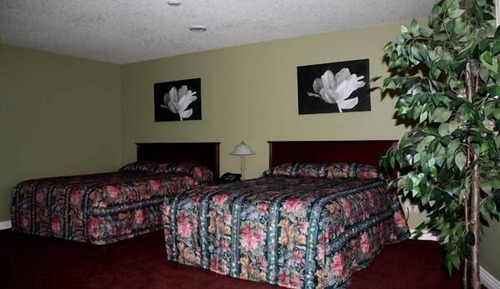 Suite, 2 habitaciones, cocina, vistas al lago