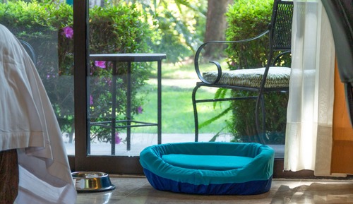 Habitación estándar, 1 cama de matrimonio grande (Dog Friendly)
