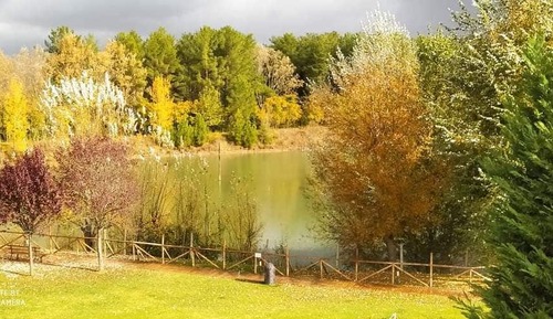 Habitación doble, vistas al lago