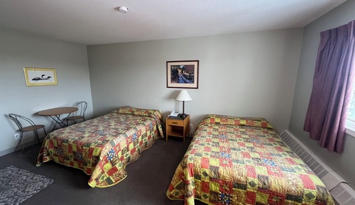 Habitación económica con 1 cama doble o 2 individuales