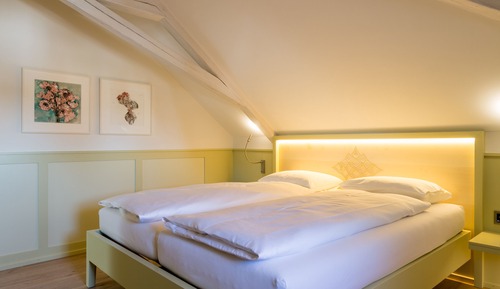 Suite, 1 habitación