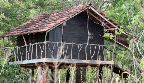 Casa en un árbol clásica, 1 cama doble, vistas al jardín, en la zona del jardín