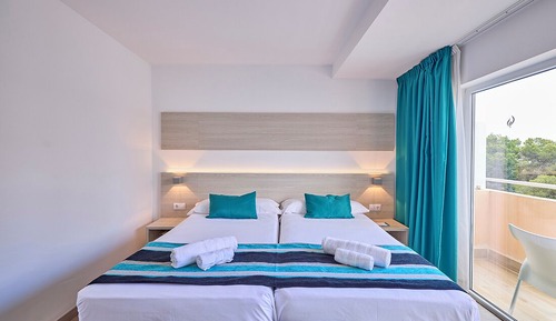 Habitación básica doble (Single parent)