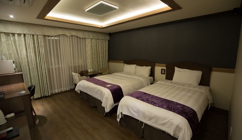 Habitación Deluxe con 2 camas individuales