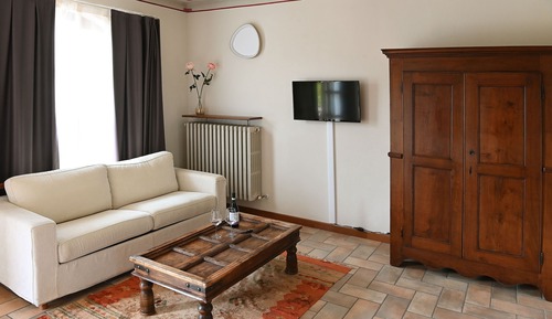 Suite junior, 1 habitación, vistas al jardín