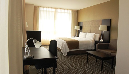 Suite, 1 cama de matrimonio grande