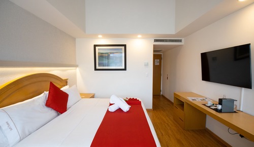 Habitación Premium, 1 cama de matrimonio grande