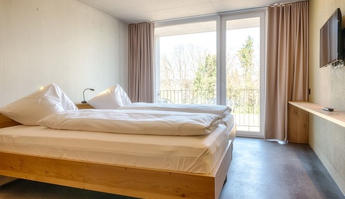 Habitación Deluxe doble, vistas al jardín