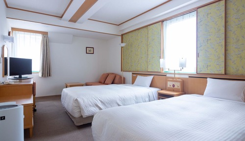 Habitación Deluxe con 2 camas individuales