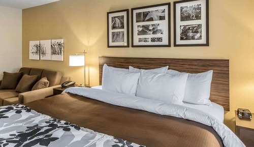 Suite, 1 cama de matrimonio grande, accesible para personas con discapacidad, no fumadores