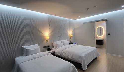 Habitación Deluxe con 2 camas individuales