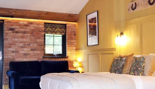 Habitación Deluxe doble (King Room 16)