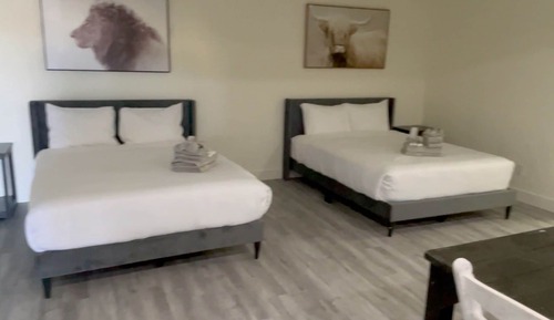 Habitación estándar, 2 camas de matrimonio, no fumadores