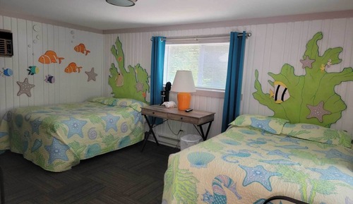 Basic Double Room