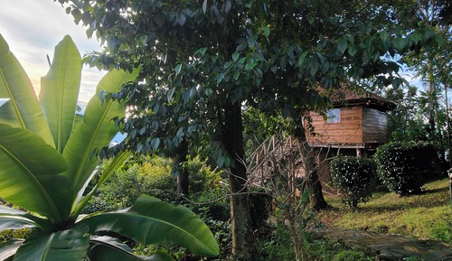 Habitación tradicional doble, balcón, vistas a la montaña