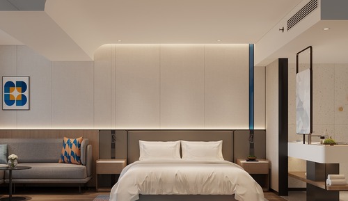 Habitación estándar, 1 cama de matrimonio grande (Extra Floor Space)