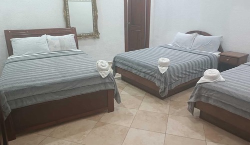 Basic Triple Room