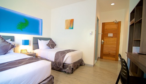 Standard Single Room, 1 Twin Bed, Non Smoking, Private Bathroom