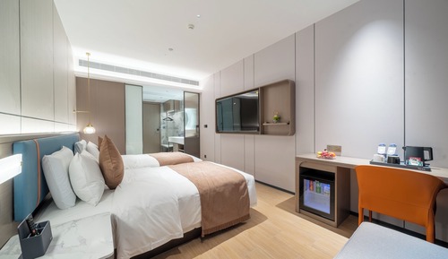 Habitación Elite con 1 cama doble o 2 individuales
